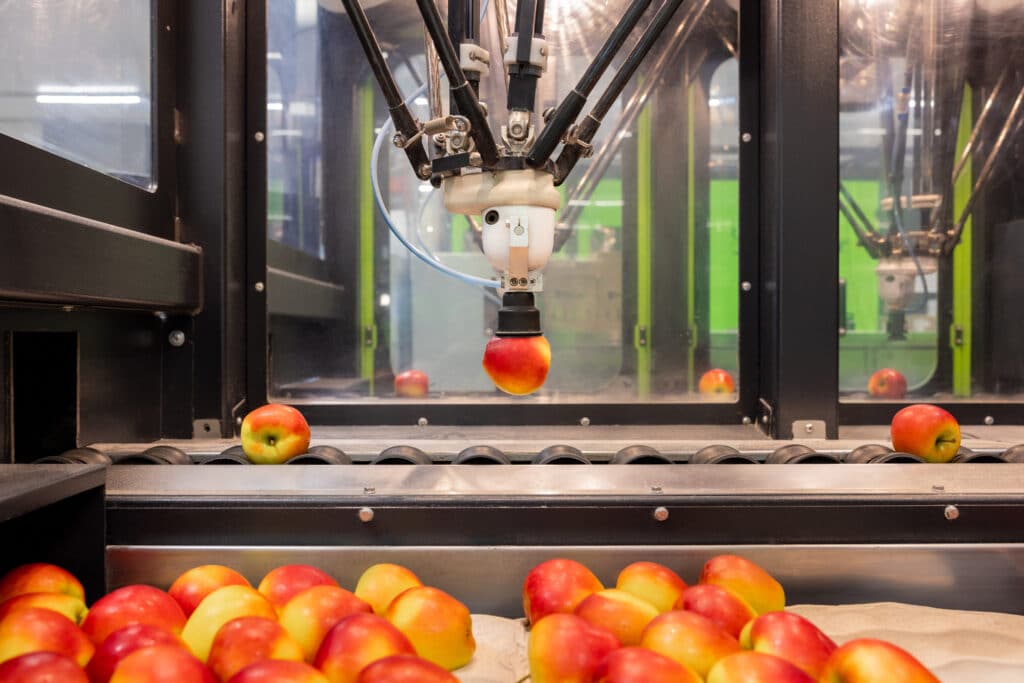 FruitMasters geautomatiseerd pakstation